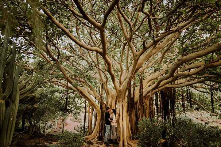 Servizio prematrimoniale in un paradiso rurale