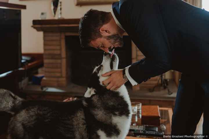 Foto con animali domestici: sì o no? - 1