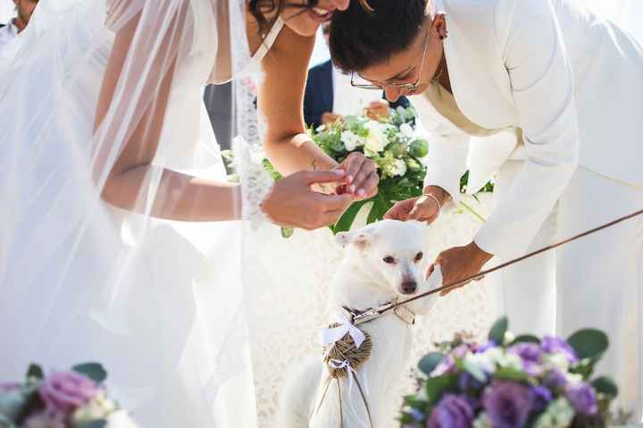 Auguri ai nostri amici a quattro zampe che averanno sempre un posto speciale nel nostro cuore - 3