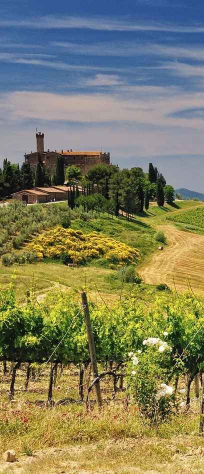 In quale città ti sposerai?