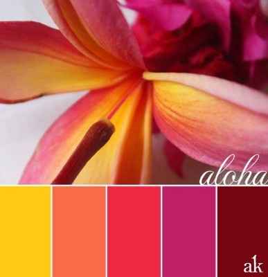 Palette colori sposa estiva, quale scegli?