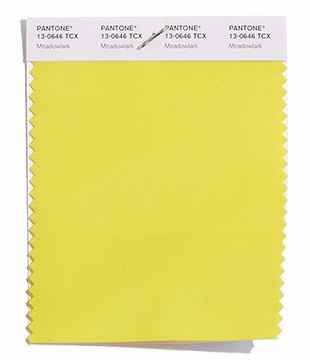 Maggioranza di risposte n. 1: PANTONE 13-0646 Meadowlark