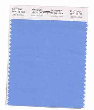 Maggioranza di risposte n. 3 : PANTONE 16-4132 Little Boy Blue