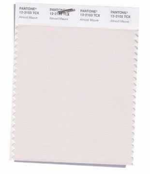 Maggioranza di risposte n. 10 : PANTONE 12-2103 Almost Mauve