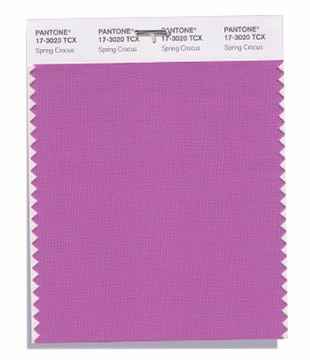 Maggioranza di risposte n. 11 : PANTONE 17-3020 Spring Crocus