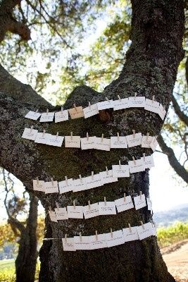 Tableau de mariage e segnaposto originale in stile shabby chic