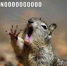 ma non ti sposareeeeeeeeeeee