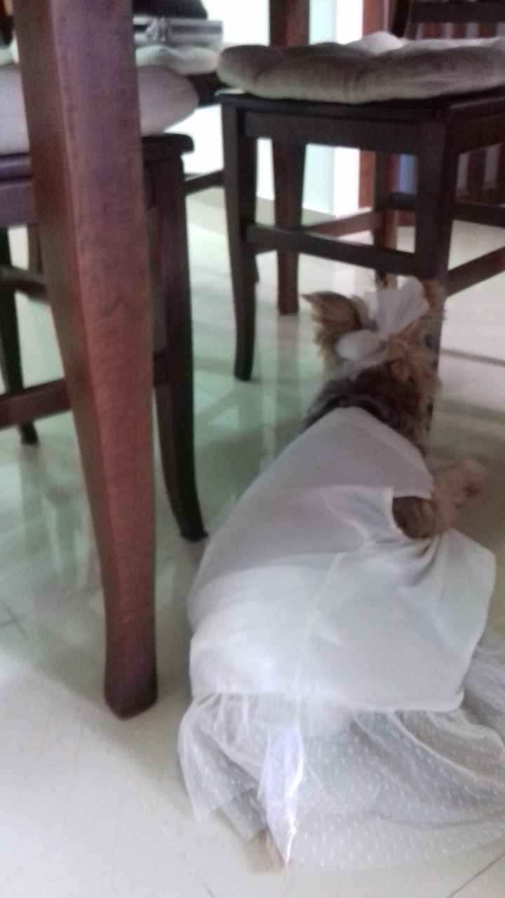 seduta ce l'aveva con i fotografi