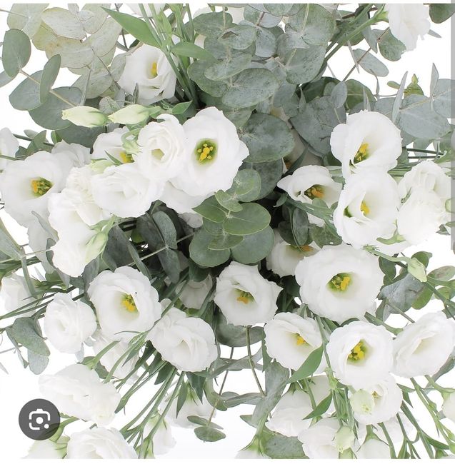 Bouquet? 2