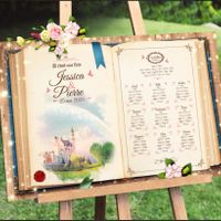 Matrimonio Disney - 1