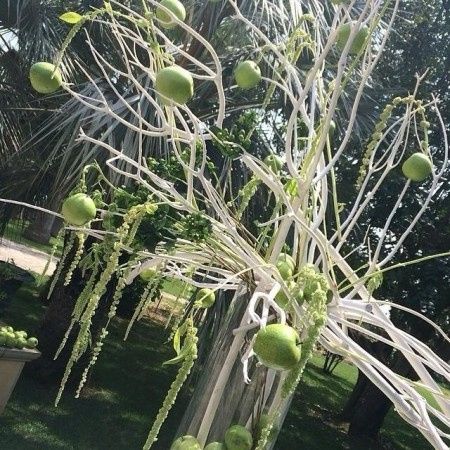 Ecco il mio matrimonio  - 3