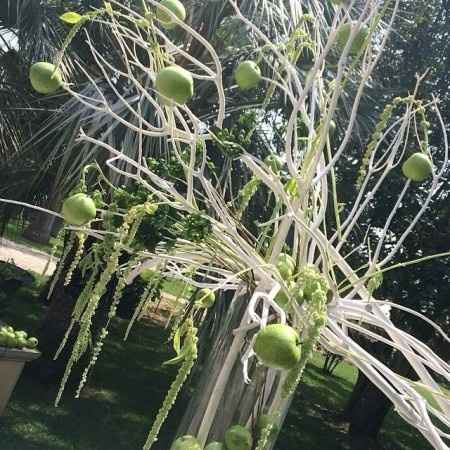 Ecco il mio matrimonio  - 3