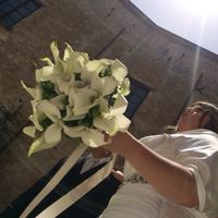 Ecco il mio matrimonio  - 1