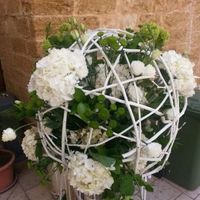 Ecco il mio matrimonio  - 1