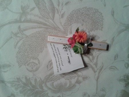 piccola idea molletta