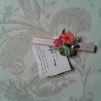 piccola idea molletta