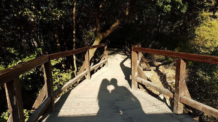  Sempre più innamorati 💖💖💖 - 5