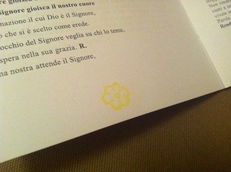 Pagina interna decorata