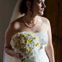 Anteprima foto uffciali