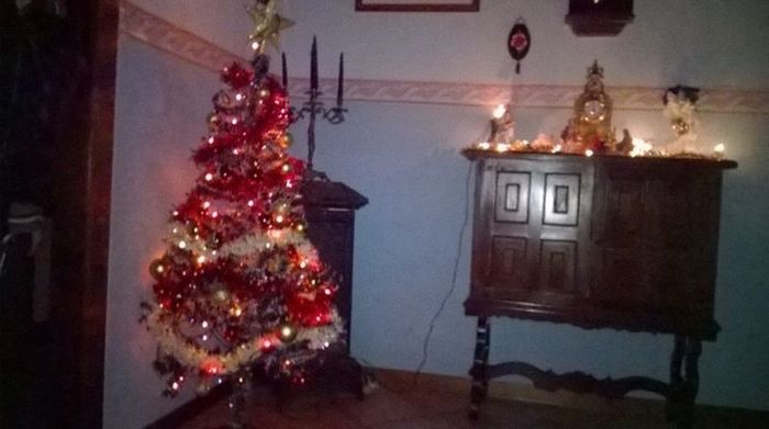 Alberello di Natale... - 2
