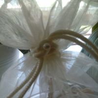 Helppp me...mi sento nel pallone!!! - 1