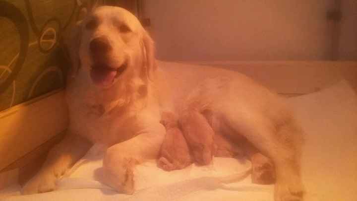 Desideri fuori dal comune - 3