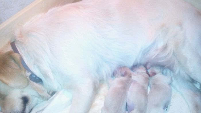 Desideri fuori dal comune - 2