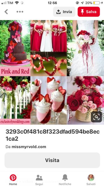 Fiori rossi o fucsia?🤔 - 2