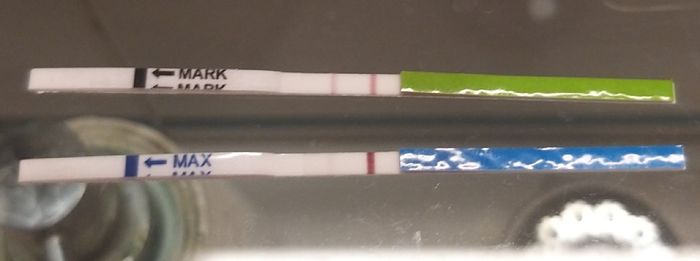 Mi aiutate a interpretare i l mio test? 2