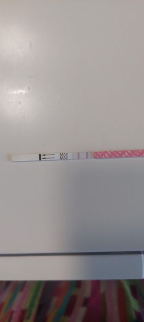 Chi non le aspetta per Gennaio Febbraio 2026 - 1