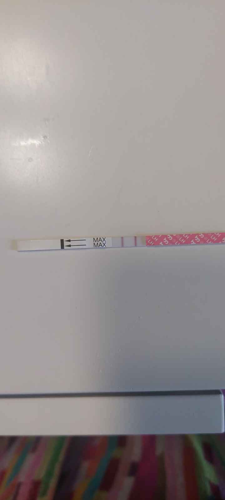 Chi non le aspetta per Gennaio Febbraio 2026 - 1