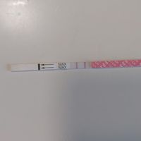 Chi non le aspetta per Gennaio Febbraio 2026 - 1