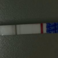 Chi non le aspetta per Gennaio Febbraio 2026 - 1