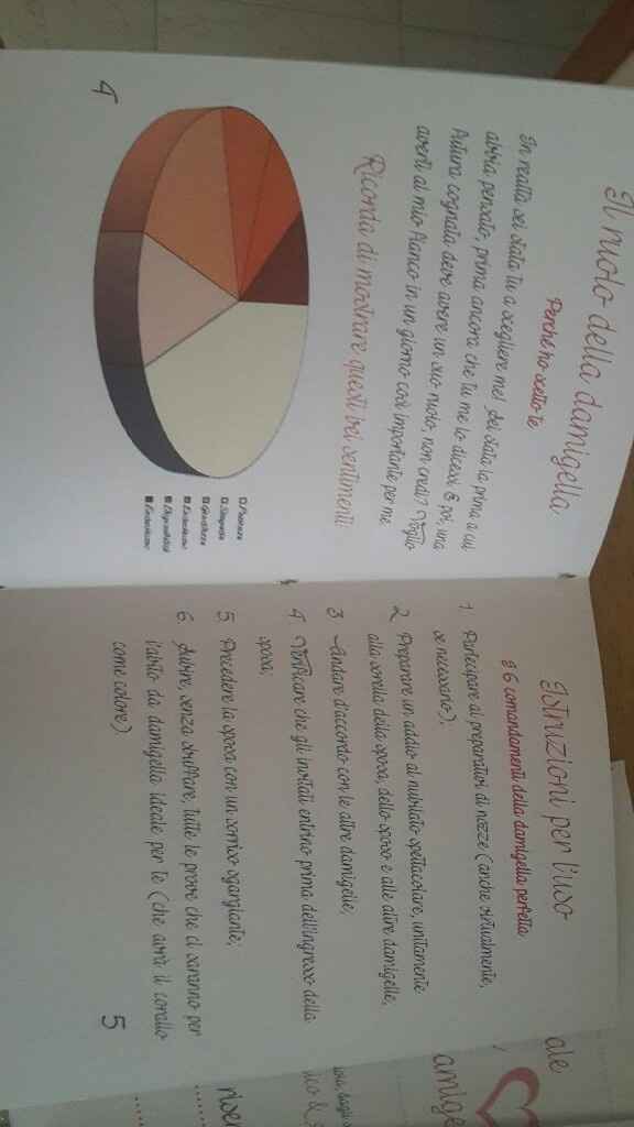 Primo manuale damigella fai da me concluso! - 6