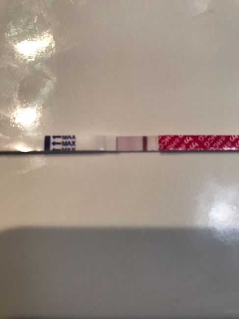 Chi non le aspetta per settembre 🍀🤞 - 1