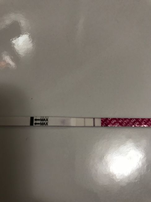 Chi non le aspetta per settembre 🍀🤞 - 1