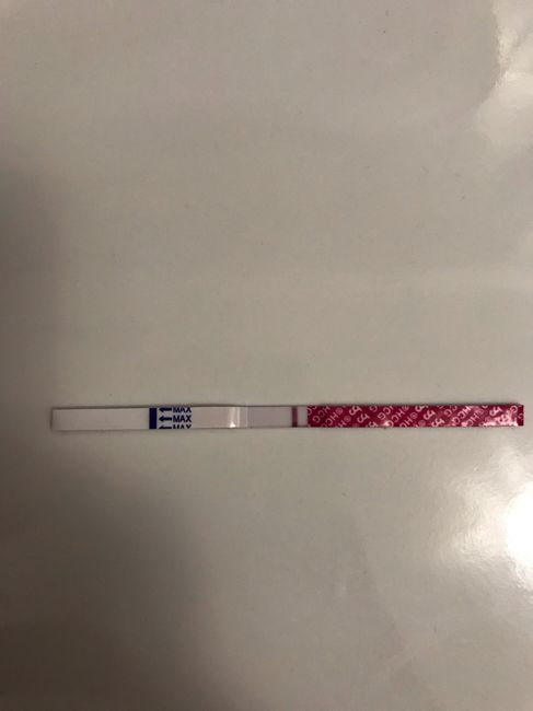 Chi non le aspetta per settembre 🍀🤞 - 3