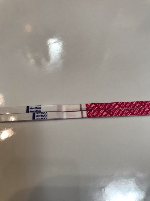 Chi non le aspetta per settembre 🍀🤞 - 1