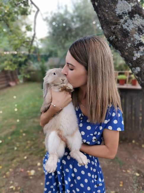 Cuscino portafedi - 1