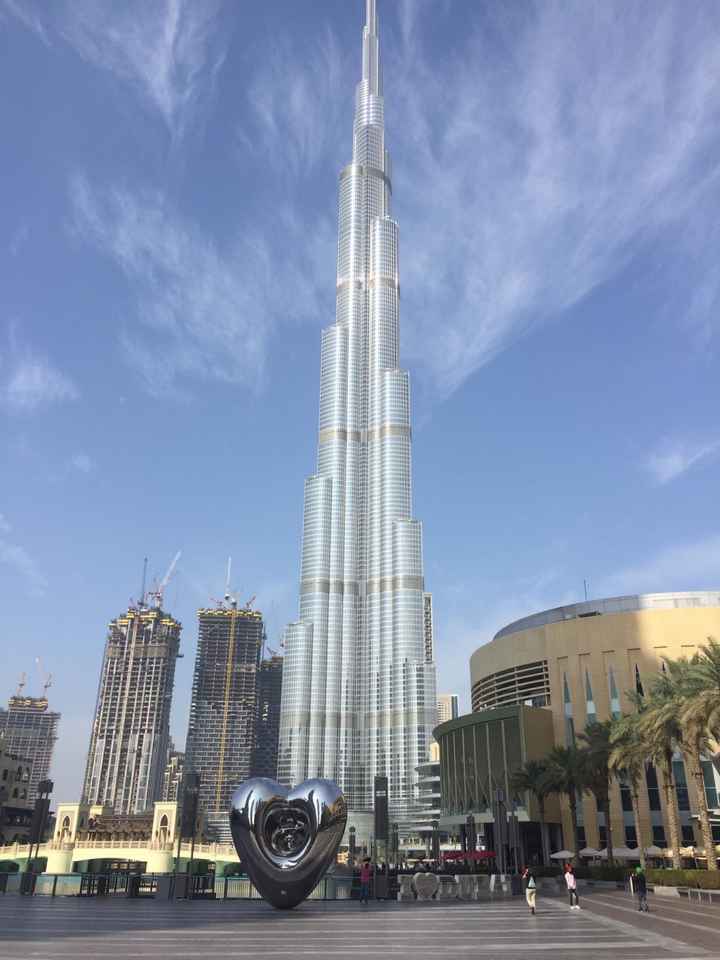 Viaggio di nozze ✈️ - 1