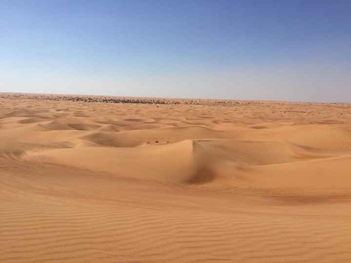 Viaggio di nozze ✈️ - 4