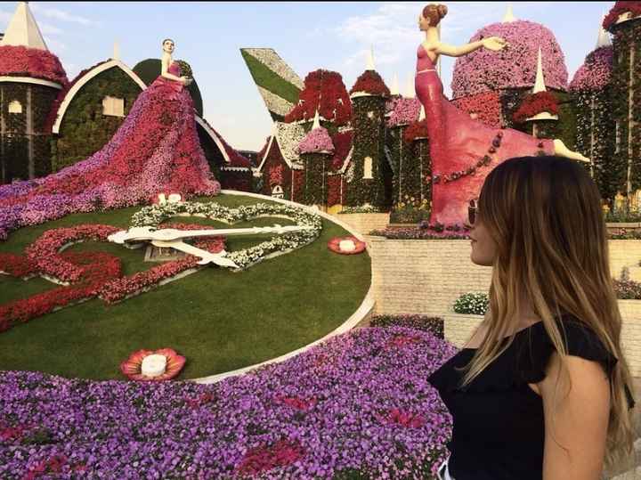 Viaggio di nozze ✈️ - 13