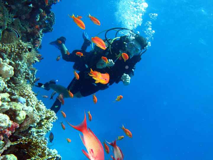 Chi è stata a Sharm El-sheikh? - 4