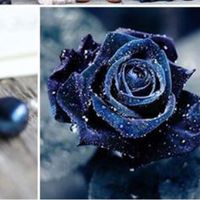 Scegli un colore e scopri il tuo oroscopo 2020 - 1