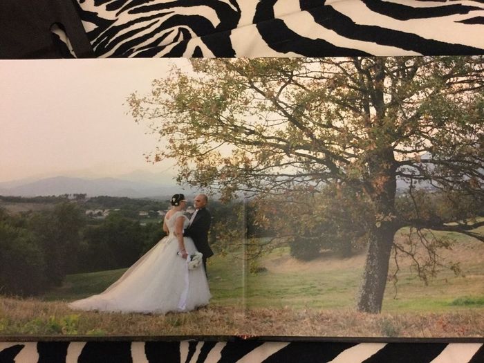 Questa è bellissima