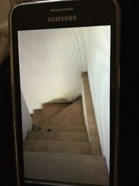 Finite!!!!!!o quasi!!!