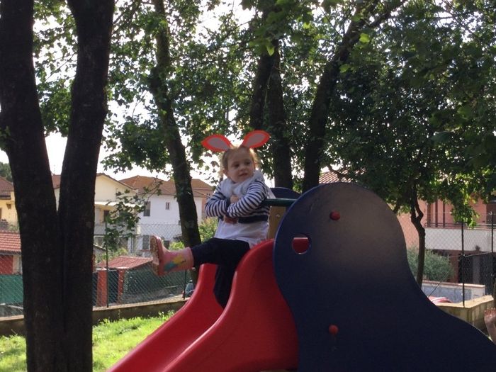 Con le orecchie da volpe....