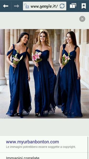 Fiori bianchi e blu - 1