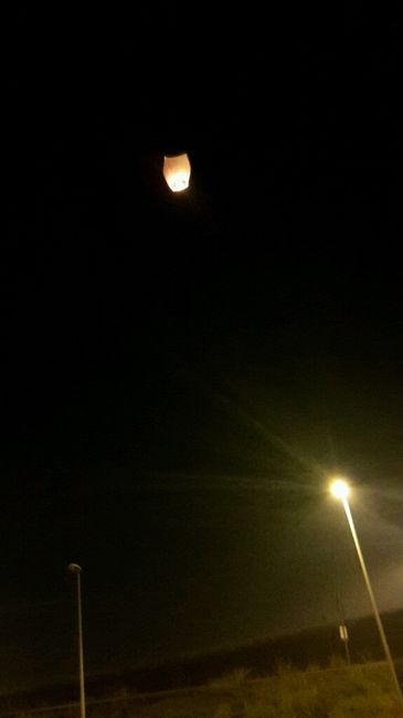 Un natale speciale! - 2