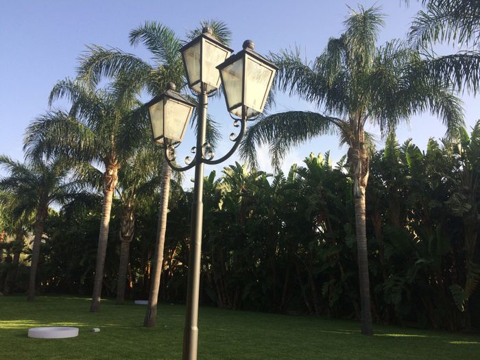 Spero non ci siamo più cambiamenti - 3